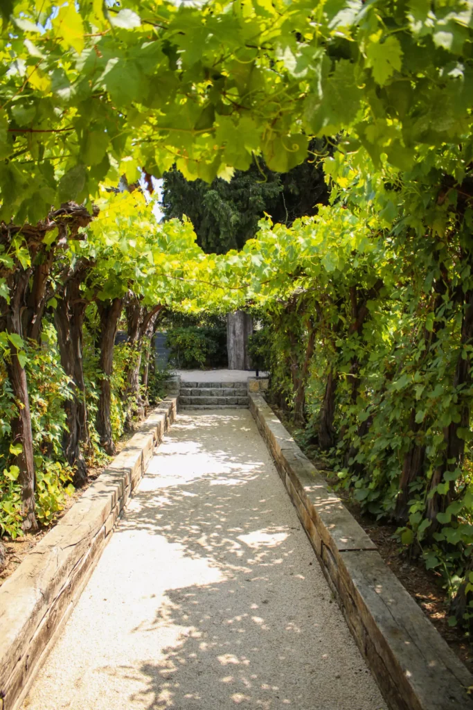 Ultimate Provence